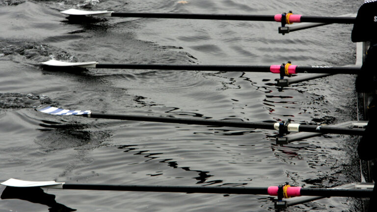 david-trinks-ciFLRLpHi0k-unsplash